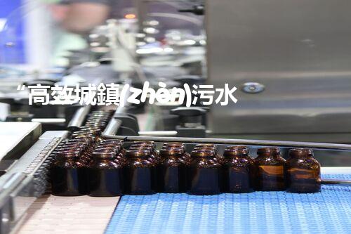 “高效城鎮(zhèn)污水處理流程，守護(hù)碧水藍(lán)天新篇章”